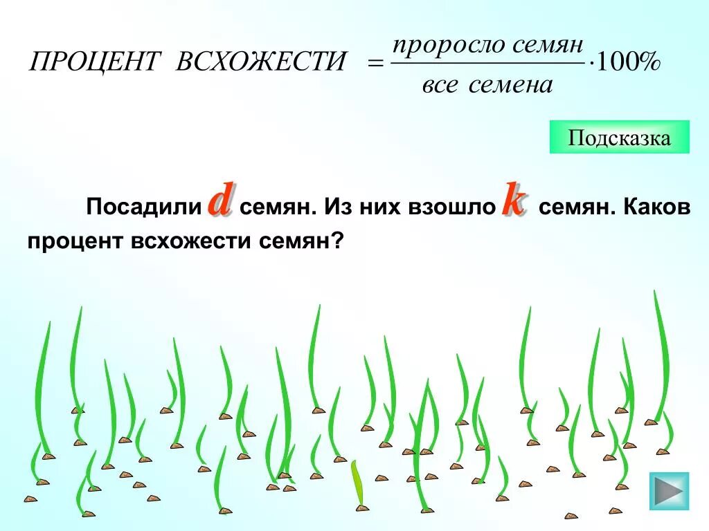 Как пишется слово прорастет. Процент всхожести семян. Определение процента всхожести семян. Прорастание семян задание. Прорастание и всхожесть семян.