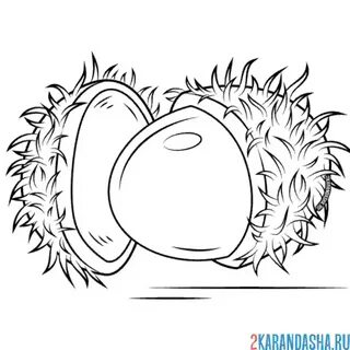 Rambutan fz шаблон кк