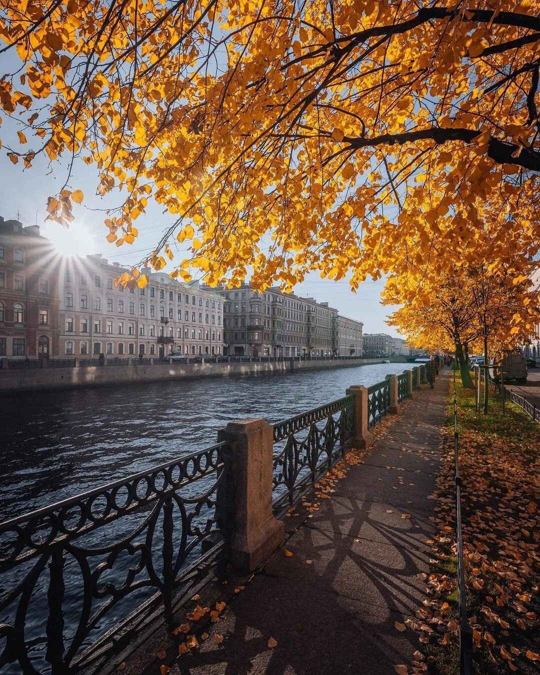 Жк аквилон sky. Жк аквилон ливз. Аквилон leaves. Жк аквилон leaves. Жк аквилон leaves.