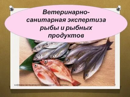Рыбная презентация