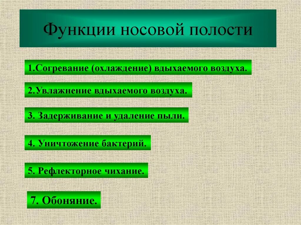 Очищение увлажнение и согревание вдыхаемого воздуха. Функции носовой полости охлаждение воздуха. Обеспечивается согревание или охлаждение воздуха. Носовая полость очищение увлажнение согревание. Увлажнение, согревание и очищение воздуха происходит:.