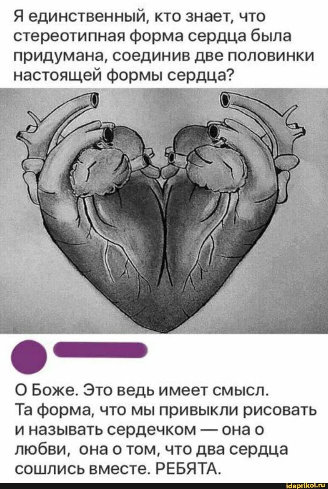Два единственных. Символ сердца происхождение. откуда взялась форма сердца. два человеческих сердца вместе. как появилась форма сердца.