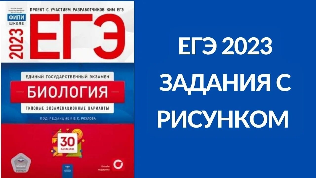 Рохлов биология 2023 сборник. Сборник ЕГЭ биология 2023. Рохлов биология ЕГЭ. Рохлова ОГЭ биология 2023. Рохлов ЕГЭ.