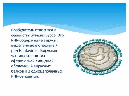 Возбудитель не относится к