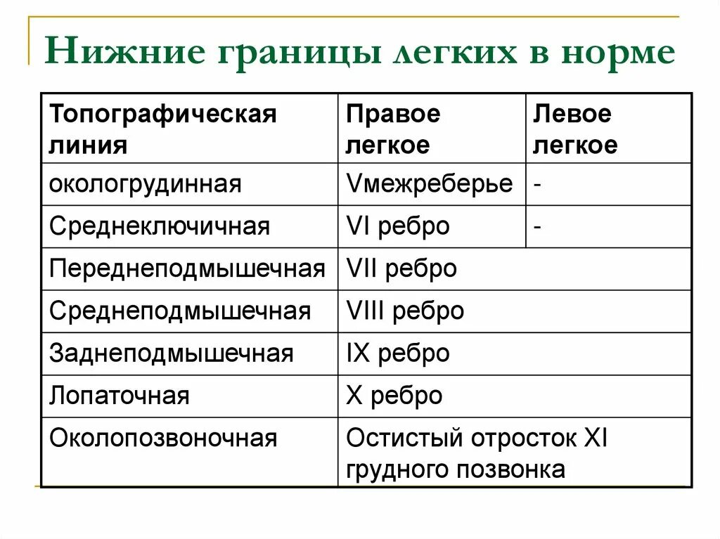 Нижние границы легких таблица. Нижние границы легких в норме таблица. Перкуссия легких границы норма таблица. Топографическая перкуссия легких норма таблица. Топографические границы легких