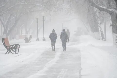 Метель порывы ветра