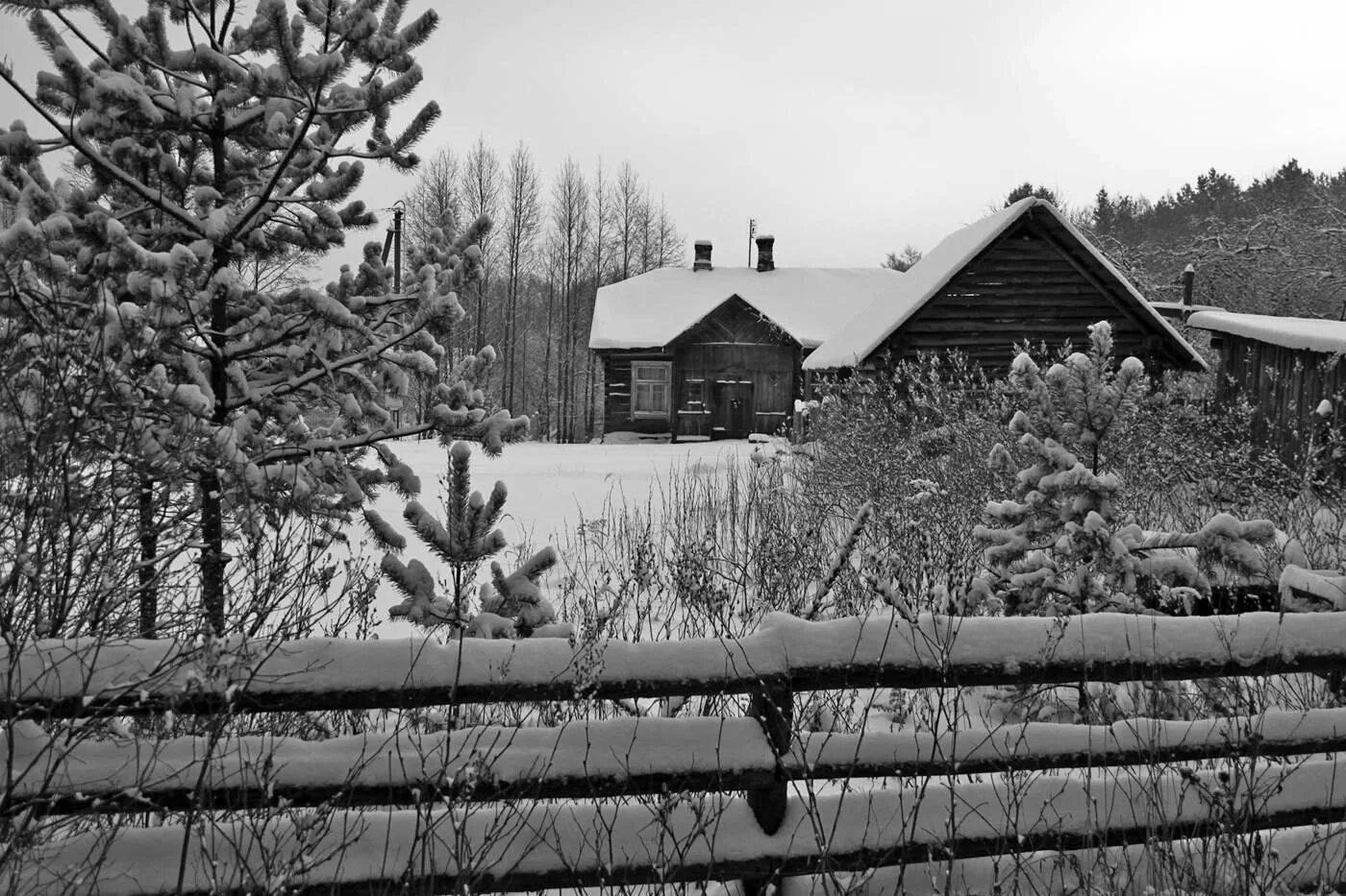 Деревня белая. Поселок белая зима Тулунского района. Зимний лес в деревне. Деревня черное.