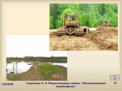 Рекультивация земель лесного фонда
