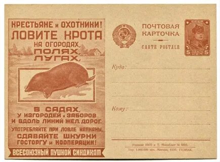 Goldensower на мешке