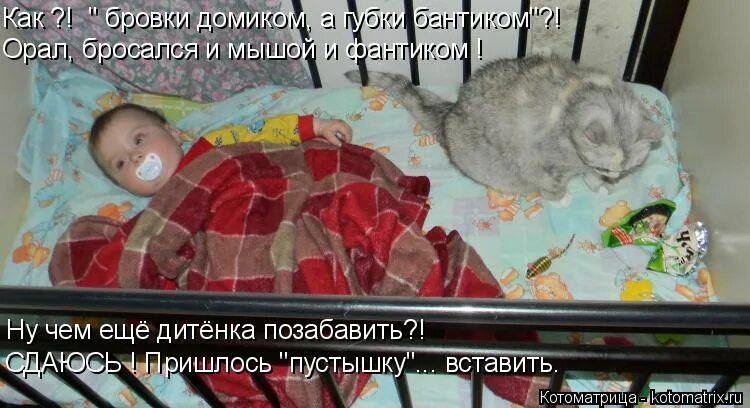 охотиться за мышой. кошка охотится на мышь. кошка ловит мышь. охотиться за мышой. охотиться за мышой.