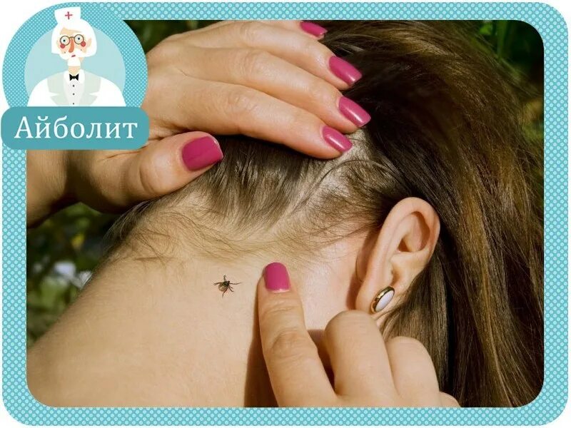 Укус энцефалитного клеща. Настя клещей. Настя клещей. Настя клещей. Клещ в лесу.