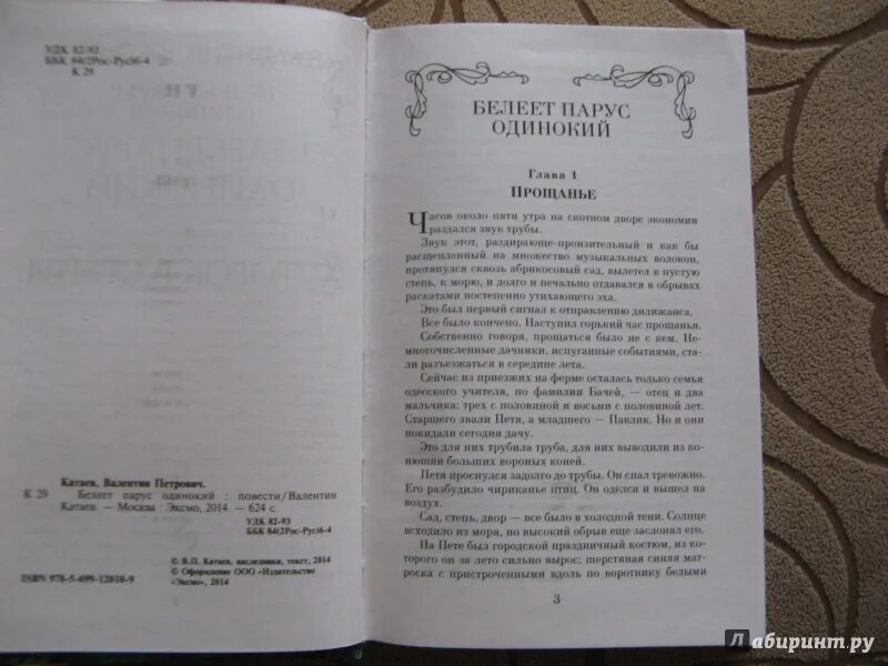 Белеет Парус одинокий Катаев. Книга Белеет Парус одинокий Катаев. Белеет Парус одинокий рассказ.