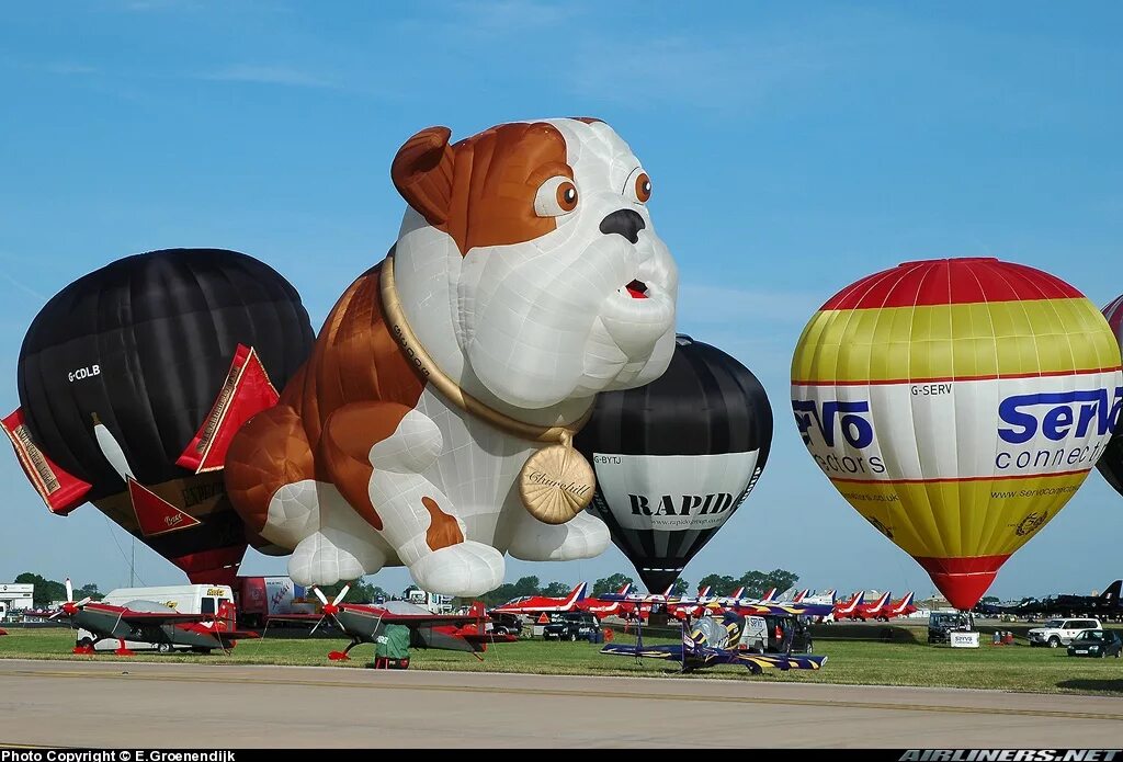 Собака в шаре. Воздушный шар собачка. Необычный воздушный шар. Воздушные шары в форме животных. Большие надувные шары.