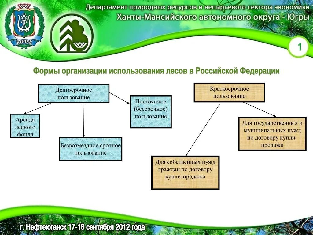 Предоставление в пользование лесных участков. Схема лесного участка. Договор аренды лесного участка. Аренда земель лесного фонда.