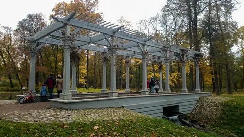 Сосновая поляна новый петергоф