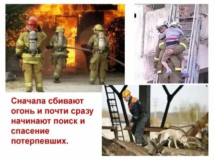 Сначала план по спасению жучки не удалось