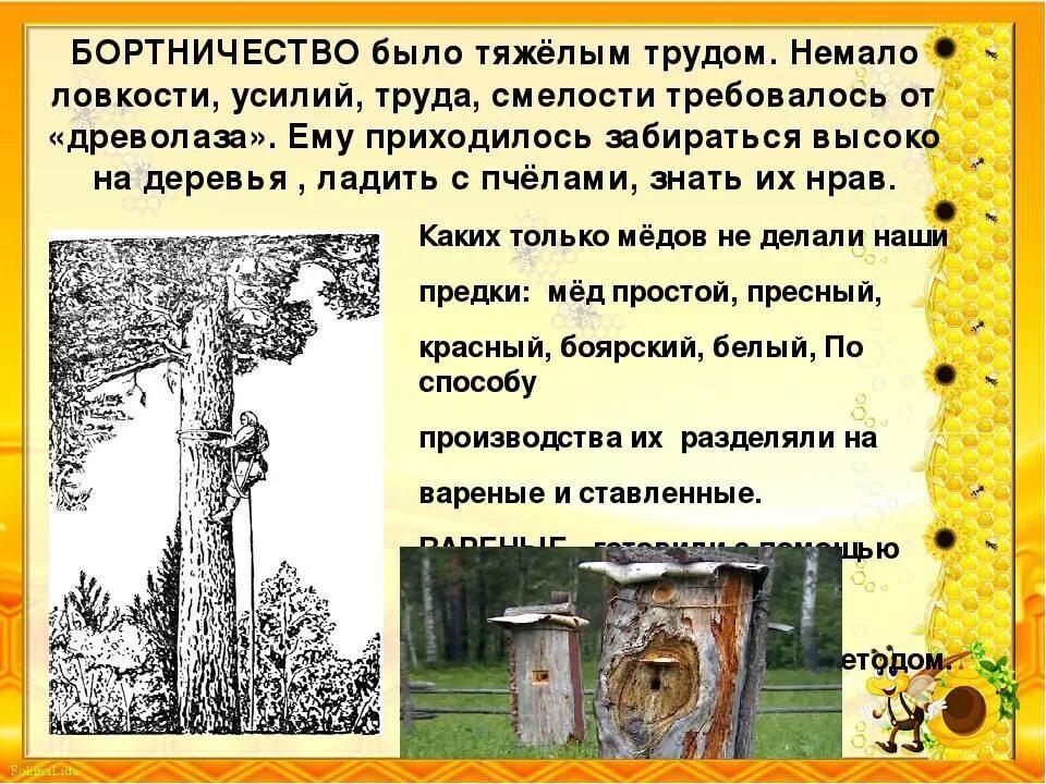 Бортничество в жизни средневековой руси