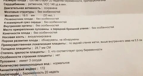 Сердцебиение плода сколько