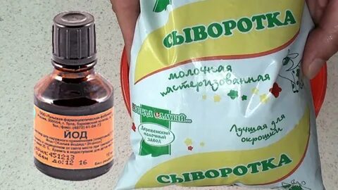 Подкормка рассады помидор молоком и йодом