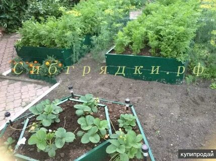 Сайт сибирская грядка