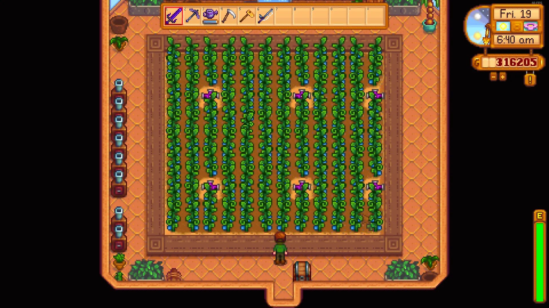 Древние семена stardew valley. Древнее семя стардью. Stardew valley фруктовые деревья. Stardew valley древние семена. Stardew valley пещера.