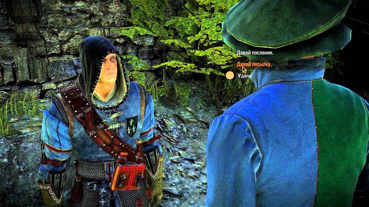 Тайлер ведьмак 3. Талер ведьмак. Талер ведьмак. Талер ведьмак за темерию. Ведьмак алхимик калькштейн.