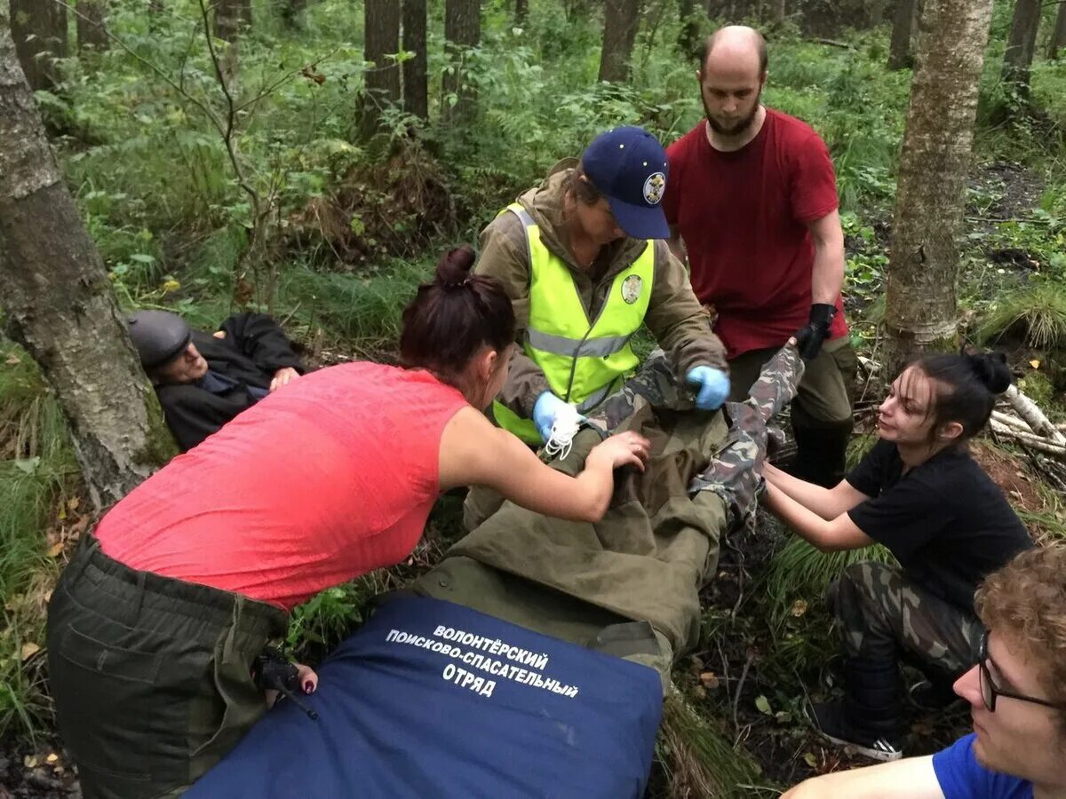 Поисковый отряд в лесу. Волонтеры в лесу. Волонтёры ищут пропавших людей в лесу.
