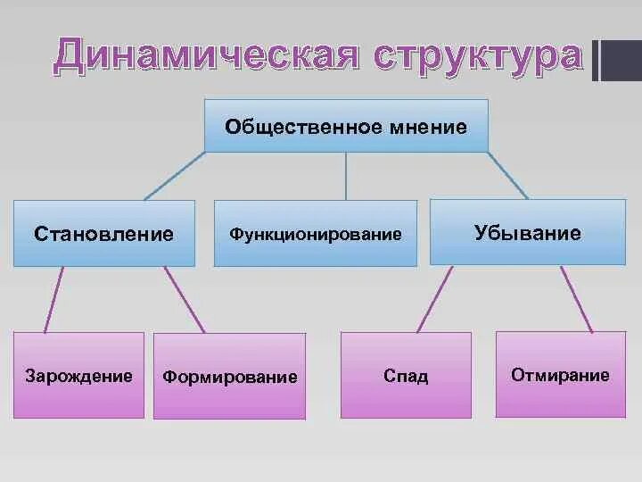 Структура общественного мнения. Динамическая структура общественного мнения. Структура и функции общественного мнения. Компоненты структуры общественного мнения.