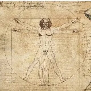 Da vinci kai