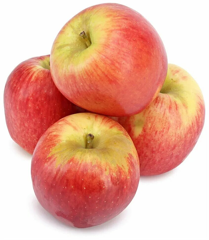 Яблоки амброзия. Сорт яблок амброзия. Сорт яблони амброзия. Яблоки синап 1.0-1.3 кг.