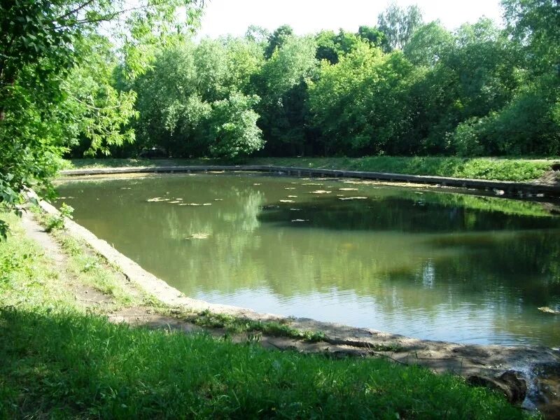 Ивановские пруды новогиреево. Вода новогиреево. Бабаевский пруд москва. Воронцовский парк. Вода новогиреево.