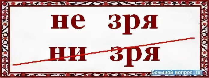 Незря как правильно. Не зря или незря. Как пишется слово не зря. Как пишется слово незря. Как написать не зря.