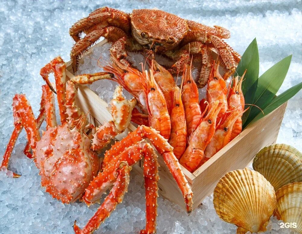 морепродукты купить. морепродукты. дальневосточные морепродукты. морские гады гастротур камчатка. морские деликатесы краснодар пашковка.