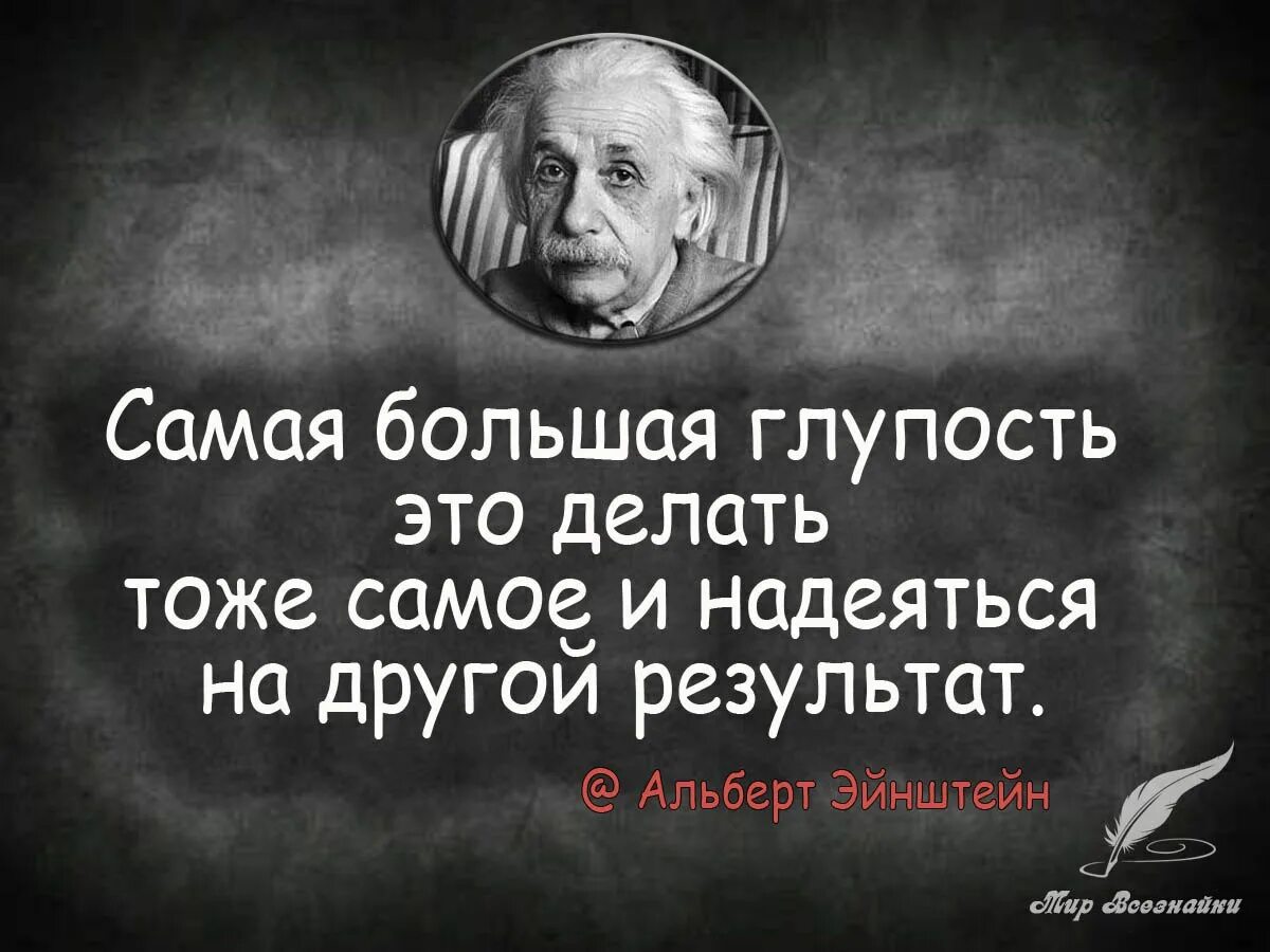 Я глупо создан ничего. Цитаты про глупых людей. Оформзмы оглупых лядчх. Цитаты про глупость. Высказывания умных людей.