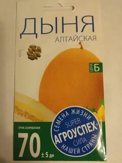 Дыня алтайская описание отзывы