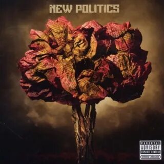 New politics