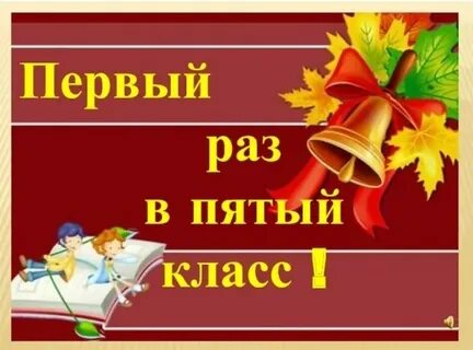 5 класс 8 сентября
