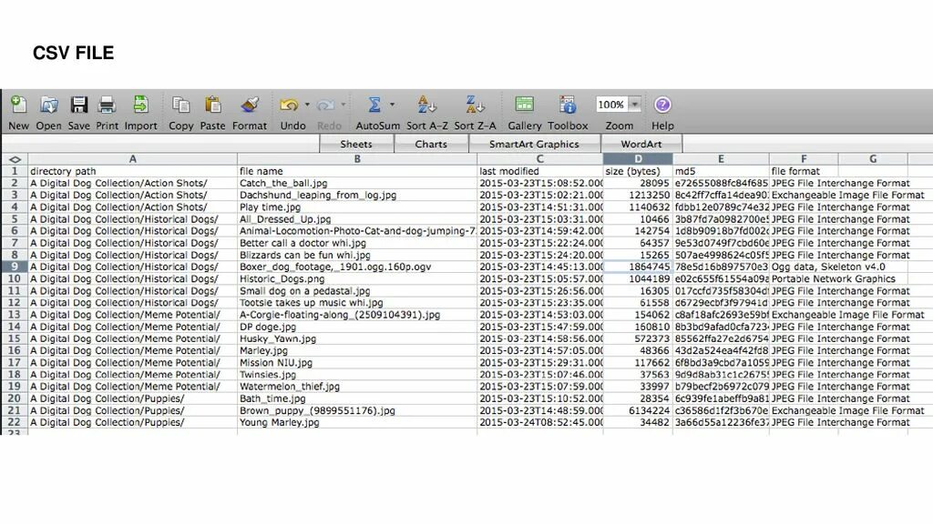 User csv. CSV файл. Формат данных CSV. Вид CSV файла. Тип файла CSV.