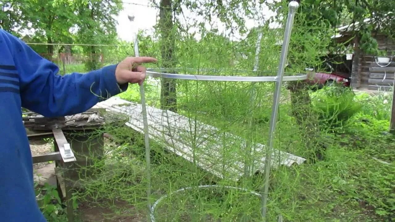 Как сделать из труб для смородины. Ограждение для смородины. ограждение для кустов. ограждениед ло я кустов смородины. шпалера из стеклопластиковой арматуры.