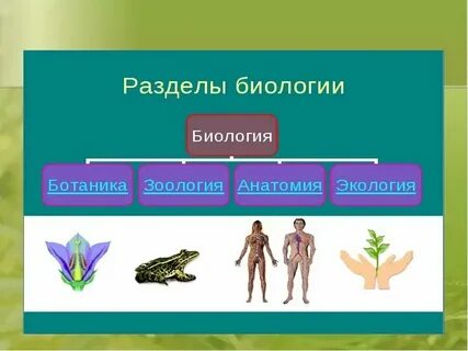 Что изучает все живые организмы