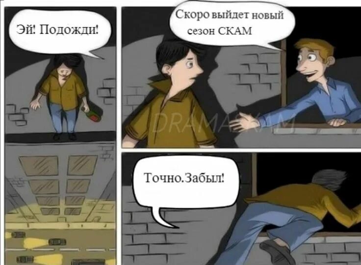 Скам что это значит. Скам мем. skam мемы. шутки про скам. план скам.