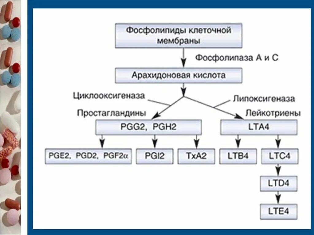 Арахидоновая кислота купить