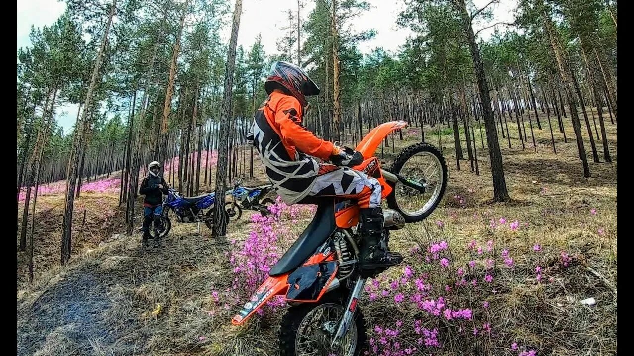 Avantis enduro 300 pro efi exclusive ars (nc250/177mm, design ktm). Gns 300 эндуро. Эндуро просида 300. Эндуро пантера 300. Эндуро просида 300.