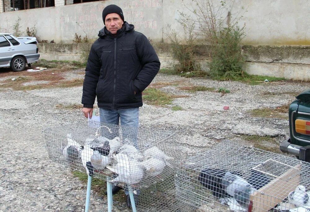 Большая Джалга Ставропольский край. Погода Джалга. Погода в б джалге