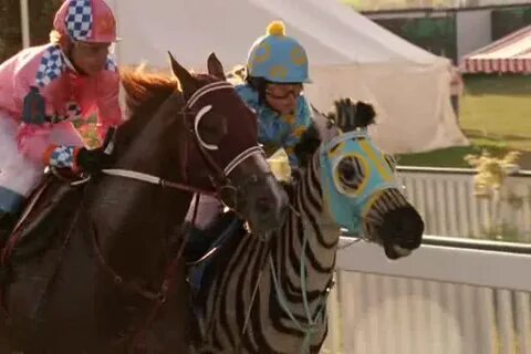 Бешеные скачки 2005