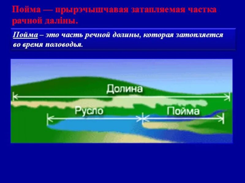 Пойма что это такое. Пойменная часть реки это. Русло реки. Пойма реки. Русло и Пойма реки это.