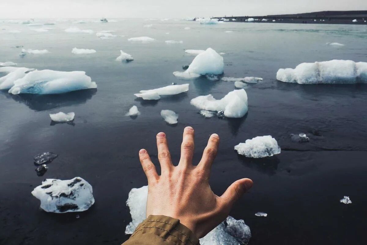 Живой лед. Залив Мордвинова лед. Живой лед 6. Живой лед 8 читать