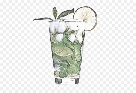 Plant to drink