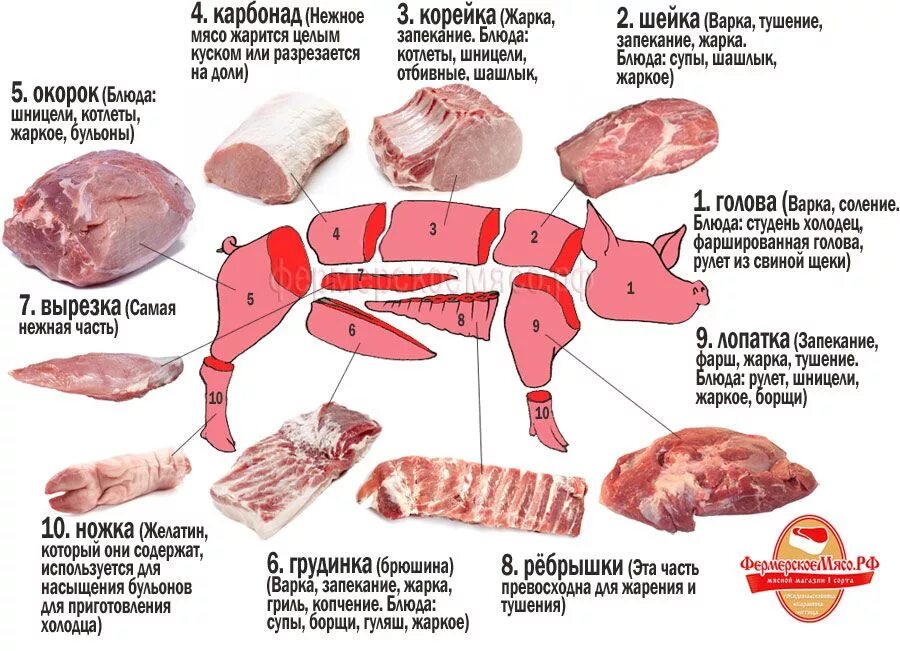 Где у свиньи карбонат