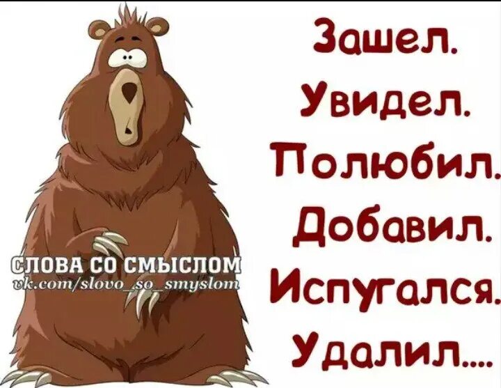 Просто зайди на сайт. Смешные цитаты про трусливых. Цитаты про трусость мужчин. Приколы про трусливых мужчин. Афоризмы про мужскую трусость.